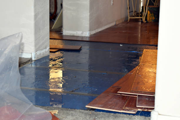 Professional Basement Flooding technician working in Fackler, AL